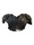 Used Schutt BLOCKER JR FB Shoulder Pads Black MD 11709-S000066499 View 2