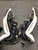 Used Bauer 3X Goalie Leg Pads Inter Black 30" 11162-S000427115 View 4