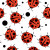 New HOCSOCX FOOTLESS-LADY BUGZ 11147-54HHOFBUG View 1