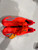 Used Adidas Adult FB Cleats Red Senior 8.5 11628-S000178525 View 1