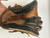 Used Louisville Slugger GENESIS 1884 SERIES BB/SB Glove RH Throw Brown 10 1/2" 11892-S000012784 View 3