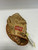 Used Rawlings RFM 35 KEITH HERNANDEZ BB/SB First Base LH Throw Brown 12" 11892-S000012847 View 2