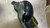Used Taylormade RBZ BLACK Mens Fairway Wood RH 3 Wood 11605-S000199090 View 4