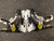 Used Bauer 3S Senior Hockey Skate Senior 7 11801-S000044462 View 5