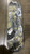 Used HIGHWATER TRANSIT DECK Skateboard Deck Only Black Regular 11605-S000199434 View 1