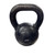Used Kettle Dumbbell (Each) Black 18 lb 11760-S000075781 View 1