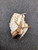 Used Mizuno GSP 1201F3WH BB/SB Glove RH Throw White 12" 11162-S000428704 View 1