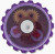 New Jellibell Purple 11866-JBI94311 View 1