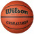 NEW Wilson EVOLUTION Basketball Adult Indoor 28 1/2" 11866-S000024361 View 1