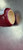 New Mizuno BAMBOO ELITE MZE243 BB/SB Wood Bat 33" 11497-S000148884 View 3