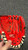 Used Rawlings PL10SS BB/SB Glove RH Throw Red 10" 11162-S000429719 View 1