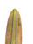 Used GLOBE LONGBOARD Longboard Natural Long 11768-S000224299 View 5