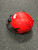 Used Xenith X2E+ YOUTH FB Helmet Red SM 11726-S000282080 View 2