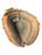 Used Rawlings RAWLINGS PREMIUM SERIES 32.5IN GLOVE BB/SB Catchers RH Throw Brown 32 1/2" 11838-S000042364 View 4