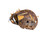Used Nokona FIRST BASE MITT BB/SB First Base RH Throw Brown 12 1/2" 11885-S000184491 View 1