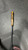 Used Demarini ZOA BB/SB USSSA 2 3/4 Bat 31" 11825-S000032549 View 4
