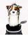 New AUS SHEPARD HEAD COVER 11856-35DAUSSHEPARD View 1
