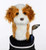 New CAVAPOO HEAD COVER 11856-35DCAVAPOO View 1