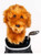 New DOODLE HEAD COVER 11856-35DDOODLE View 1