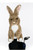 New RABBIT HEAD COVER 11856-35DRABBIT View 1