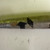 Used Demarini THE GOODS BB/SB High School -3 Bat 32" 11307-S000256836 View 3
