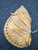 Used Rawlings RCM 45 BB/SB Catchers RH Throw Brown 32" 11162-S000430381 View 3