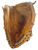 Used Rawlings ROBIN YOUNT BB/SB Glove LH Throw Brown 12 1/2" 11732-S000354364 View 1