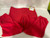 Used A4 SB PANTS BB/SB Pant Womens Red 2X 11790-S000045886 View 1