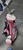 Used Tour Edge JUNIOR SET DRIVER 36 IN Teen Package Set RH Pink 6 Piece 11497-C000149539 View 3