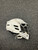 Used Cascade CPV-R Lacrosse Helmet White S/M 11162-C000430731 View 8