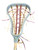Used Brine LACROSSE STICK Wmn Atk/Mid Complete Stick Royal Blue 11892-S000018045 View 3