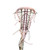 Used Warrior WM LAX STICK Wmn Atk/Mid Complete Stick None 11749-S000186005 View 1