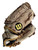 Used Wilson A440 FASTPITCH BB/SB Glove RH Throw Tan 11 1/2" 11709-S000069062 View 1