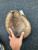 Used Rawlings RCM22 BB/SB Catchers RH Throw Brown 32" 11162-S000431040 View 2