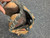 Used Rawlings RCM22 BB/SB Catchers RH Throw Brown 32" 11162-S000431040 View 5