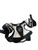 Used CCM NHL JR MEDIUM Senior Shoulder Pads MD 11479-S000397490 View 2