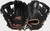 New Rawlings R9 I/PS 11.75" RHT SB Glove 11692-RAWR00704419 View 1