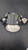 Used STX STALLION 200+ Lacrosse Shoulder Pads Black SM 11849-S000029347 View 2