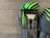 Used Century Boxing Gloves Green MD 11614-S000216943 View 2