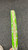 Used Wilson FEDERER 23 Junior Tennis Racquet Green 23" 11162-S000431773 View 14