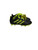 Used Adidas Soccer Cleats Black Youth 11.0 11847-S000027562 View 1