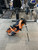Used US Kids STAND BAG Teen Stand Bag Orange 11614-S000217211 View 1