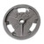 TROY VTX OLYMPIC GRIP PLATE 45LB 10105-TRYGO-045V View 1