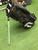 Used Taylormade BLACK Mens Stand Bag Black 11668-S000110482 View 2