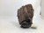 Used Rawlings 11IN RHT FASTPITCH GLOVE RH Throw Fastpitch Gloves Brown 11" 11752-S000067320 View 3