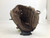Used Rawlings 11IN RHT FASTPITCH GLOVE RH Throw Fastpitch Gloves Brown 11" 11752-S000067320 View 1