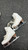 Used Jackson MYSTIQUE Girls Figure Skate White Junior 01 11162-S000432267 View 3
