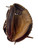Used Louisville Slugger OMAHA PRO BB/SB Catchers RH Throw Brown 33 1/2" 11856-S000021285 View 1
