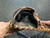 Used Mizuno GXF 90B2 BB/SB First Base RH Throw Brown 12 1/2" 10743-S000464994 View 4