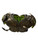 Used Champro SCORPION SHOULDER PADS FB Shoulder Pads Black LG 11884-S000049339 View 2